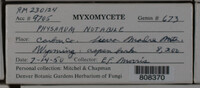 Image Associated With the Occurence
